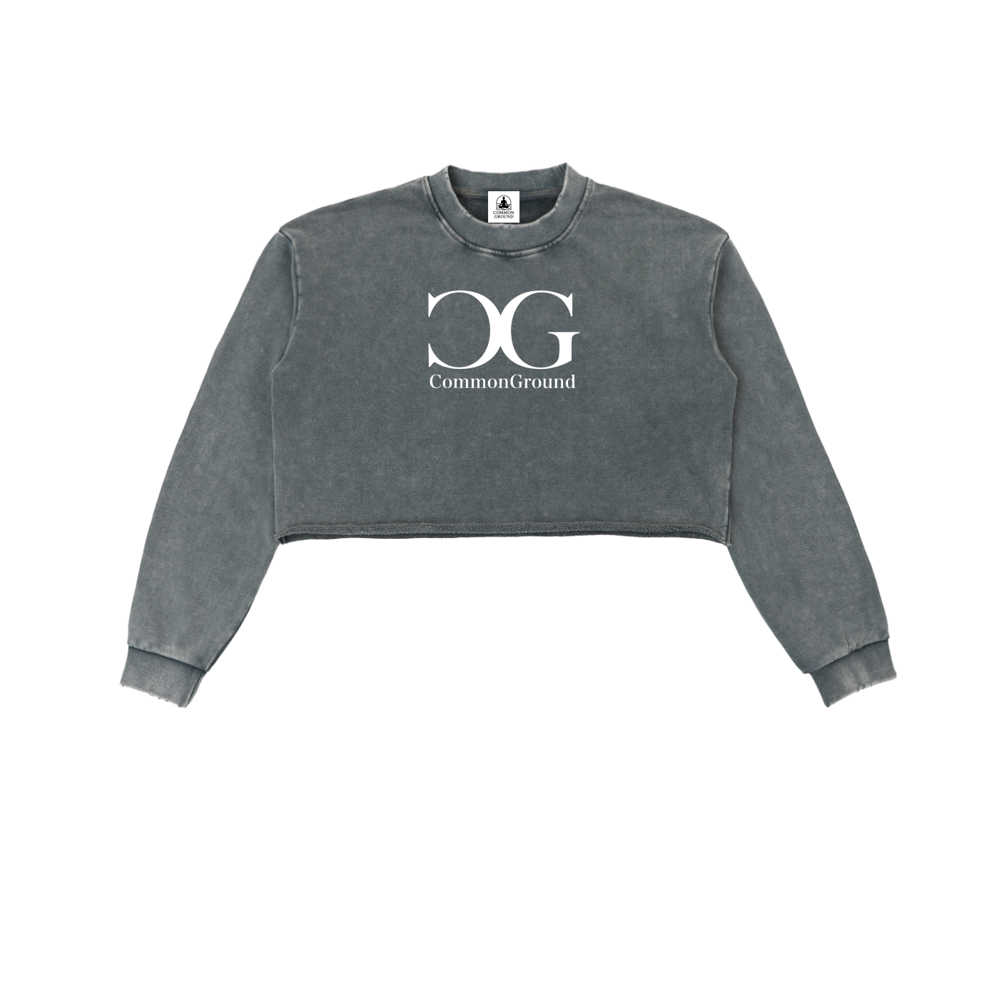 Snow Washed Raw Edge Cropped Sweatshirt