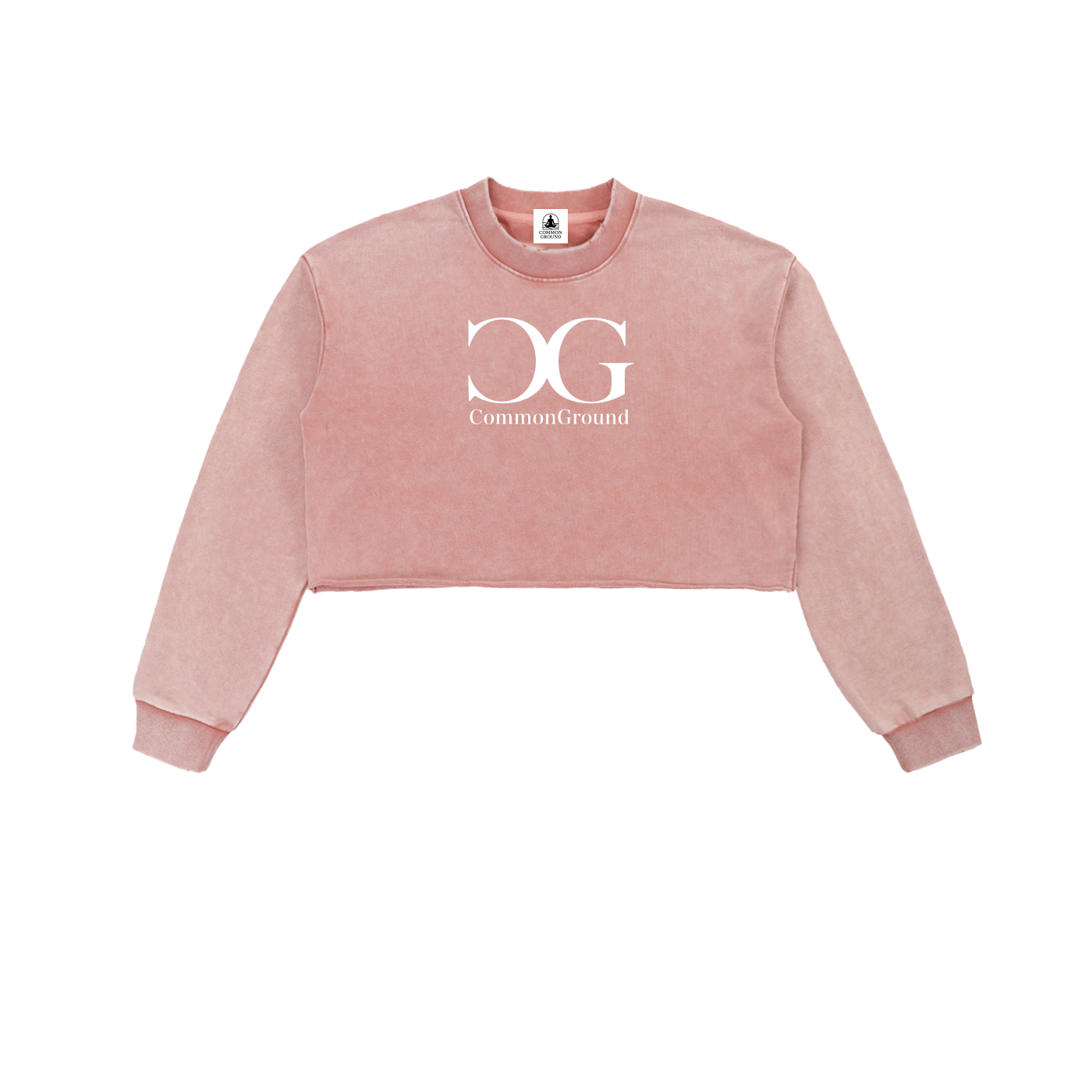 Snow Washed Raw Edge Cropped Sweatshirt